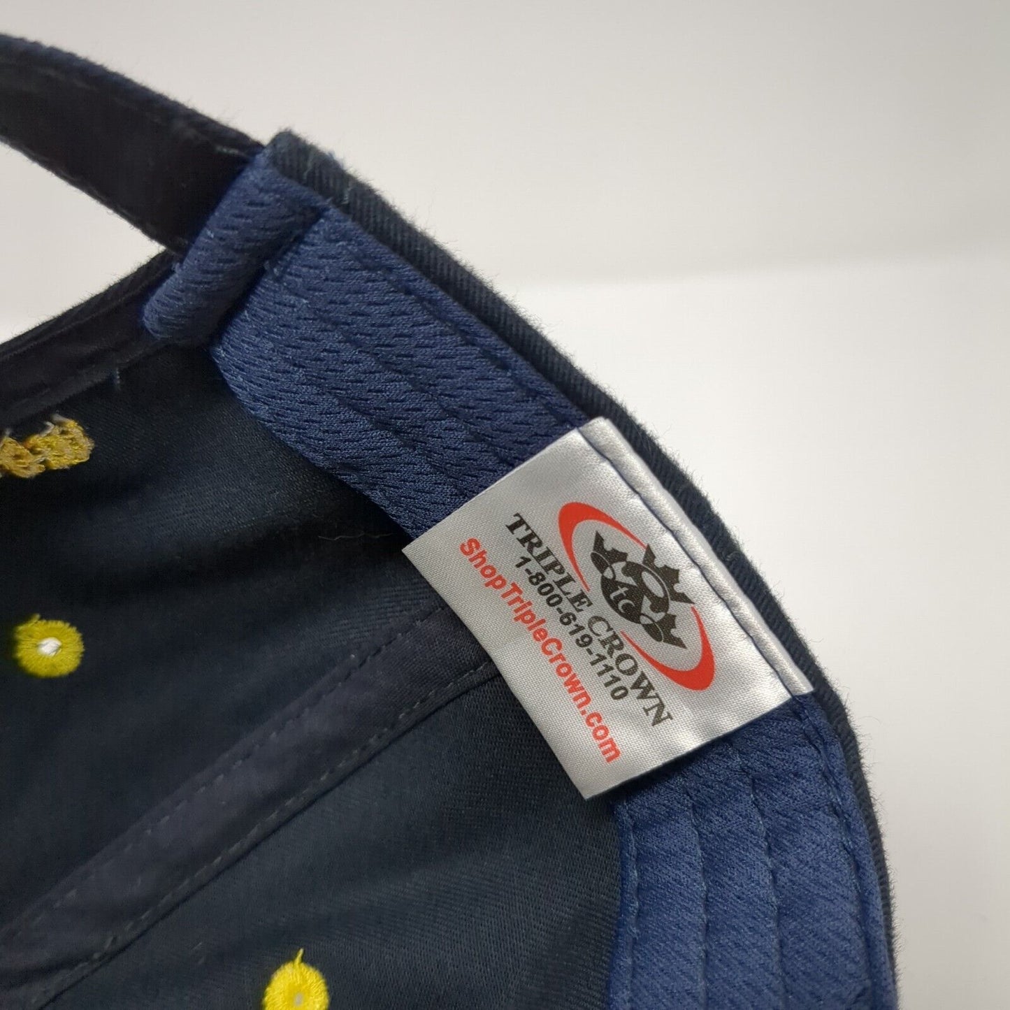 Precision Scale & Controls Inc Strapback Hat Blue One Size Triple Crown