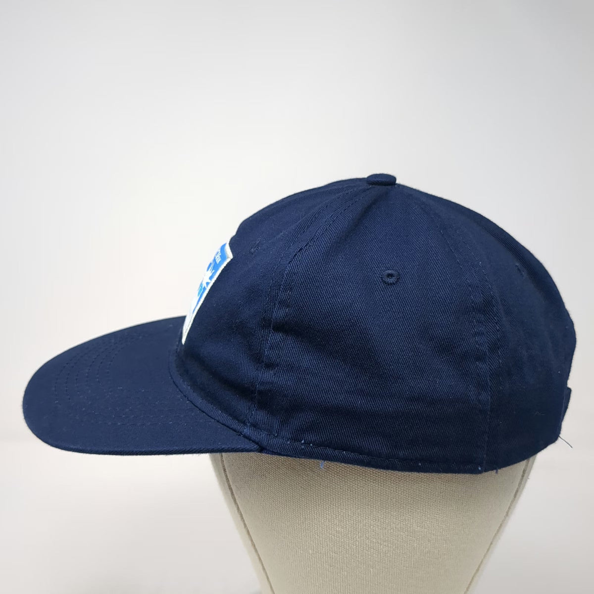 PFA Baseball Cap Blue One Size Strapback Hat NYC Health Hospitals NYCVax Statue