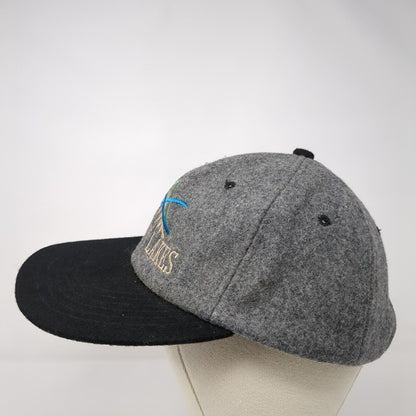 Anthony Lakes Strapback Hat Gray One Size Adjustable Embroidered 6 Panel CSI