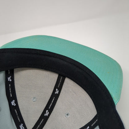 Nike SB Skateboard Snapback Hat Gray Blue Embroidered Logo Adjustable OSFA