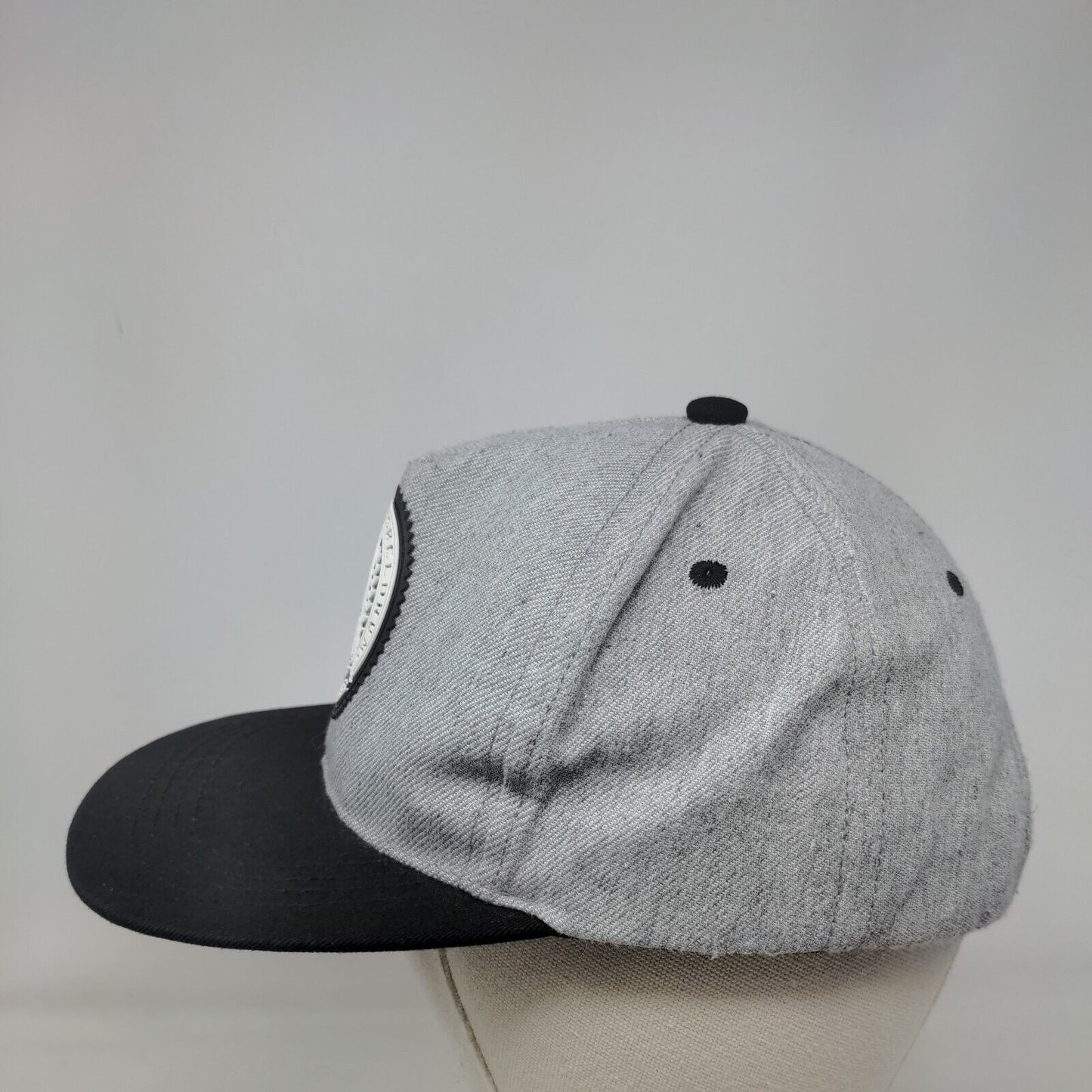Novus Ordo Seclorum Annuit Coeptis Illuminati Strapback Hat Gray OS Adjustable
