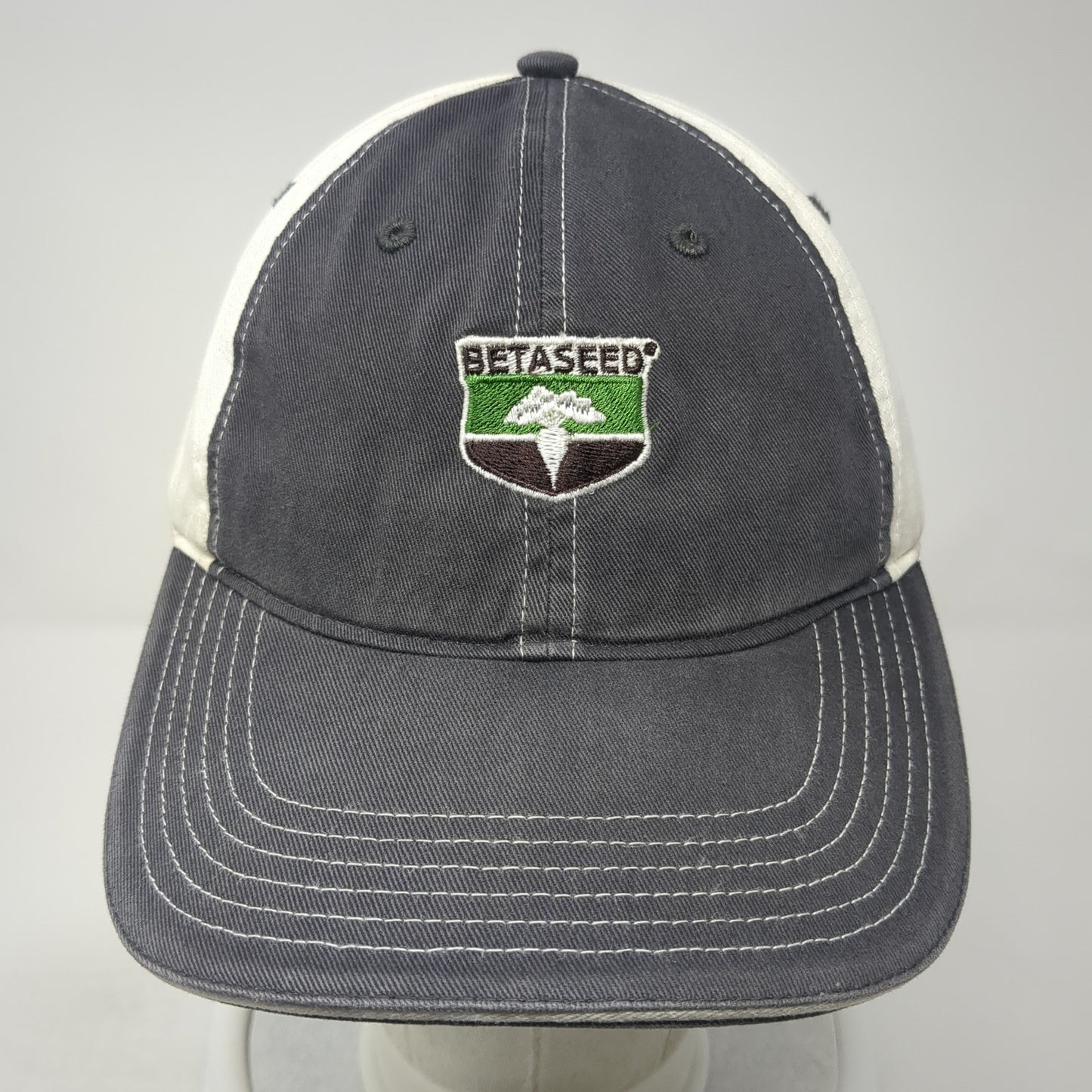 Betaseed Strapback Hat Gray Large Embroidered Colorblock Richardson