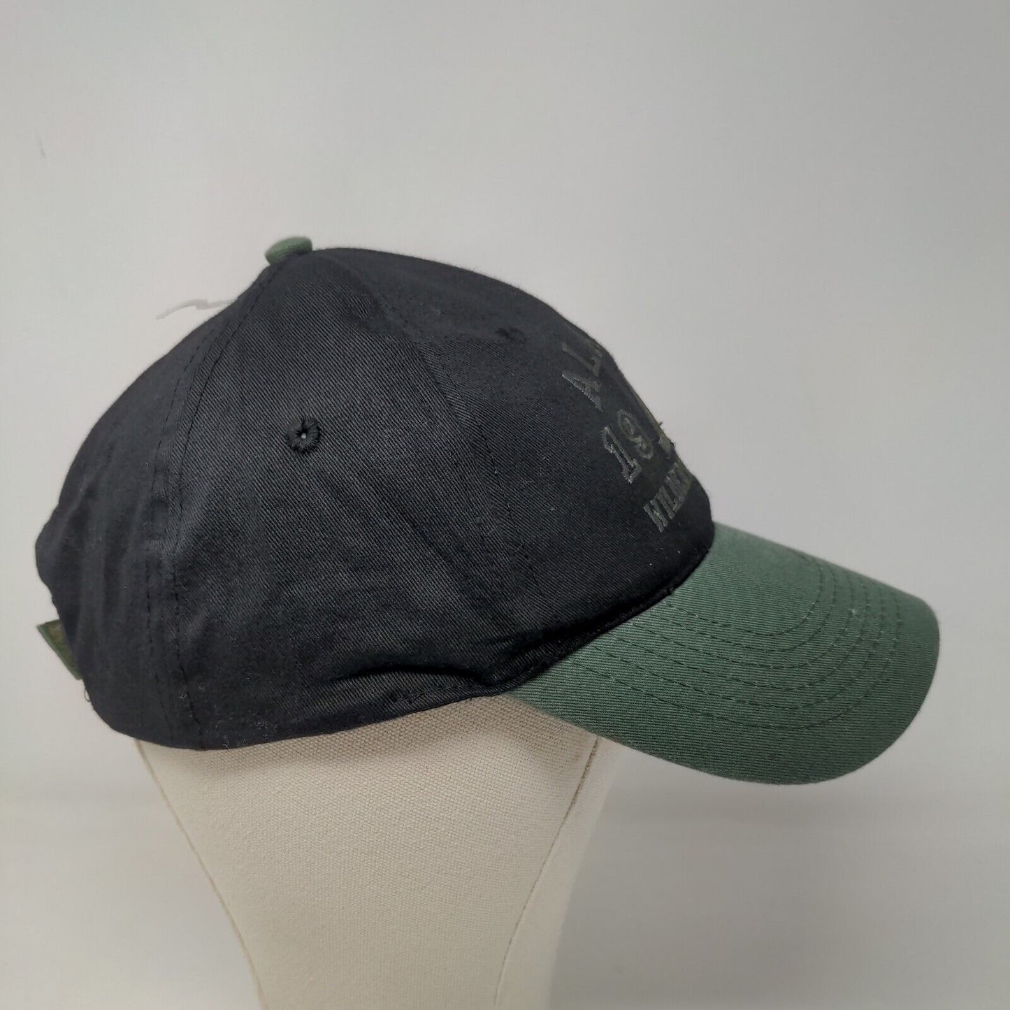 Dockside Exclusive Men's Strapback Hat Black Green Alaska Wilderness Gear Logo