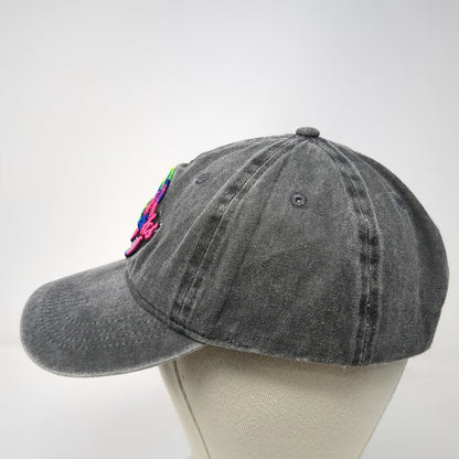 Sunsations Baseball Cap Gray One Size Outer Banks North Carolina Rainbow Hat