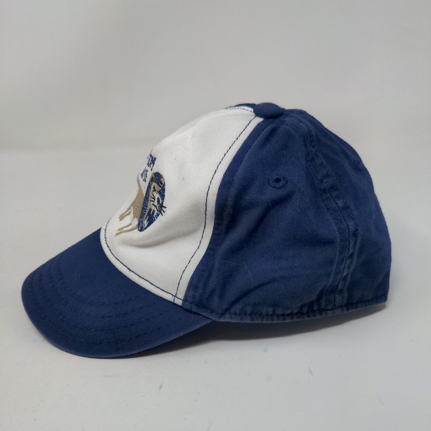 Make Some Noise Toddler Strapback Hat Blue 12-24 Month Embroidered Lion Gymboree