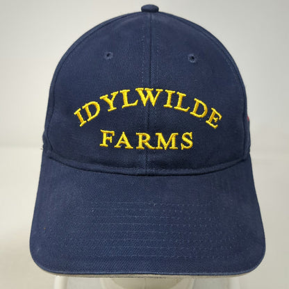 Cap America Baseball Cap Blue Yellow One Size Idylwilde Farms American Flag Hat