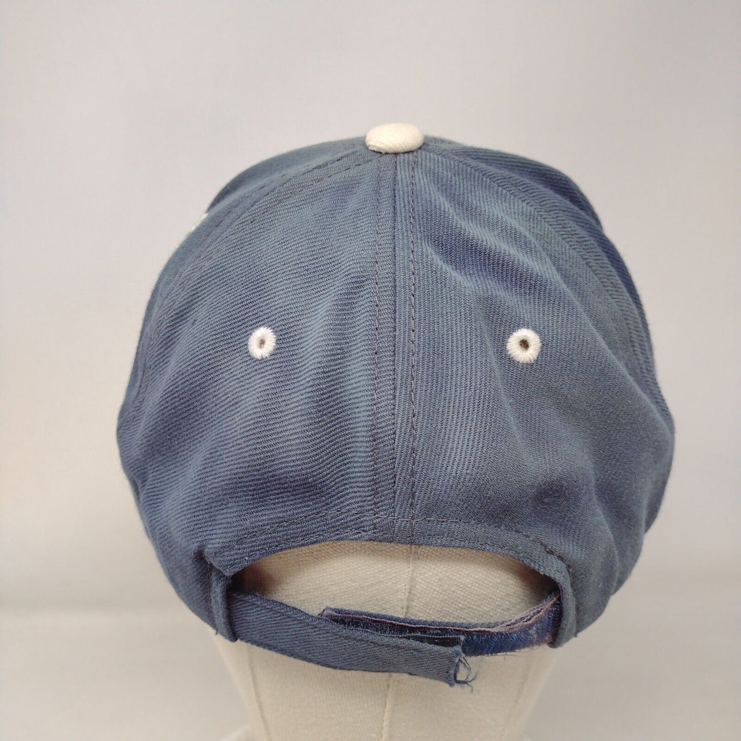 US Air Force Veteran Strapback Hat Blue One Size Rapid Dominance