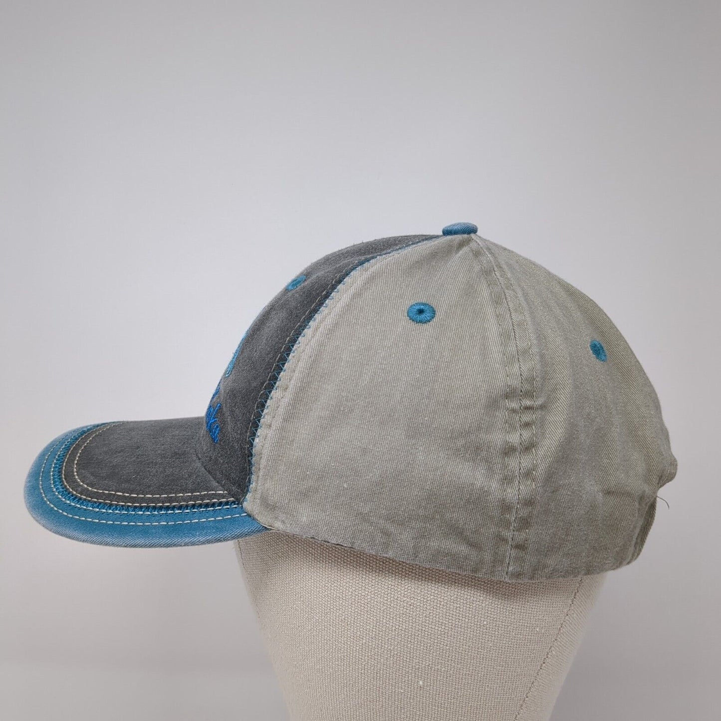 Alaska Strapback Hat Multicolor One Size Adjustable Embroidered ACE USA Cotton