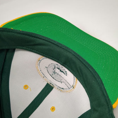 Green Bay Packers NFL ANI Snapback Hat Green One Size Flat Brim Yellow Logo Mix