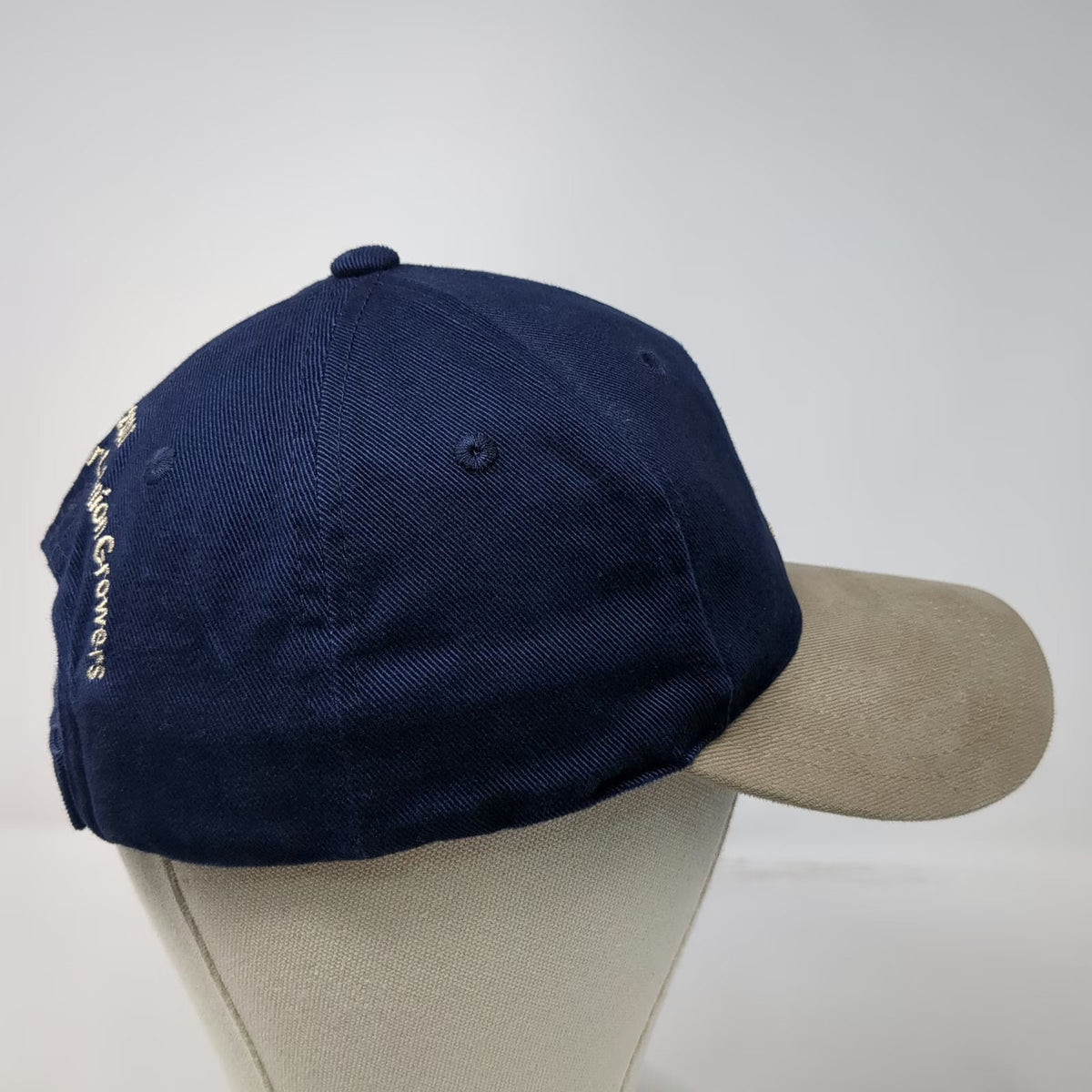 Port Authority Baseball Cap Blue One Size Onion Mascot Idaho Growers 2006 Hat