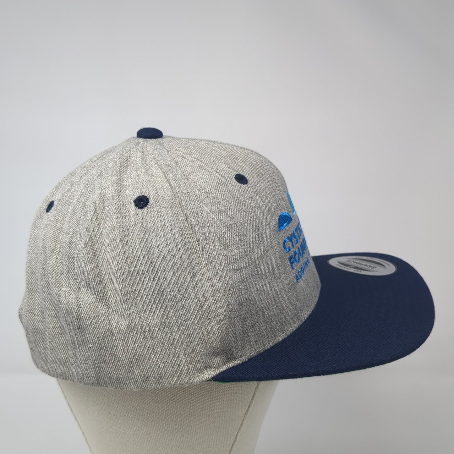 Cystic Fibrosis Foundation Snapback Hat Multi One Size Adding Tomorrows