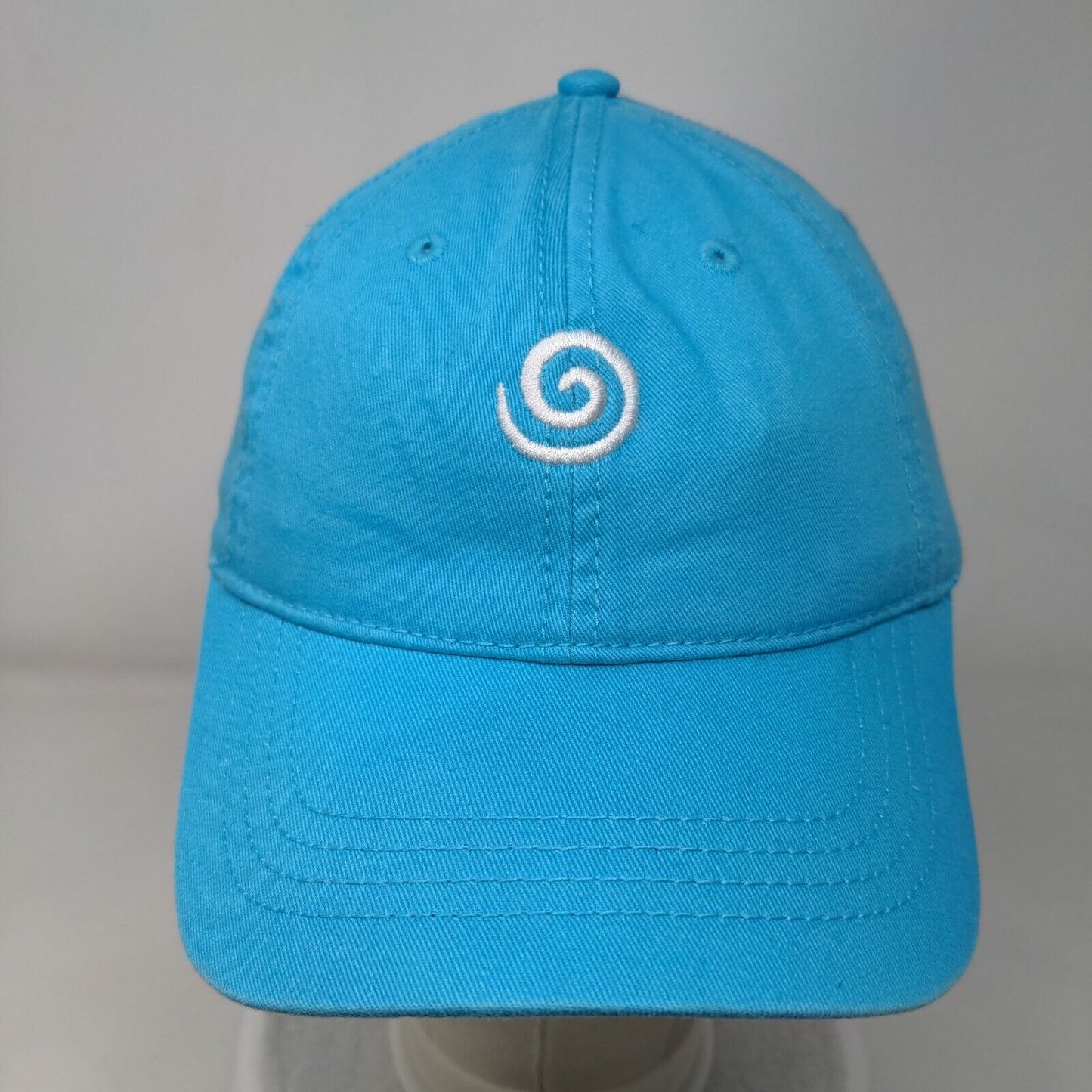 Lung Force Walk 2016-2017 Strapback Hat Blue One Size Cap America