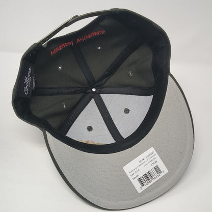 Natural Ventures Snapback Hat Gray OS Adjustable Embroidered Crowns by Lids