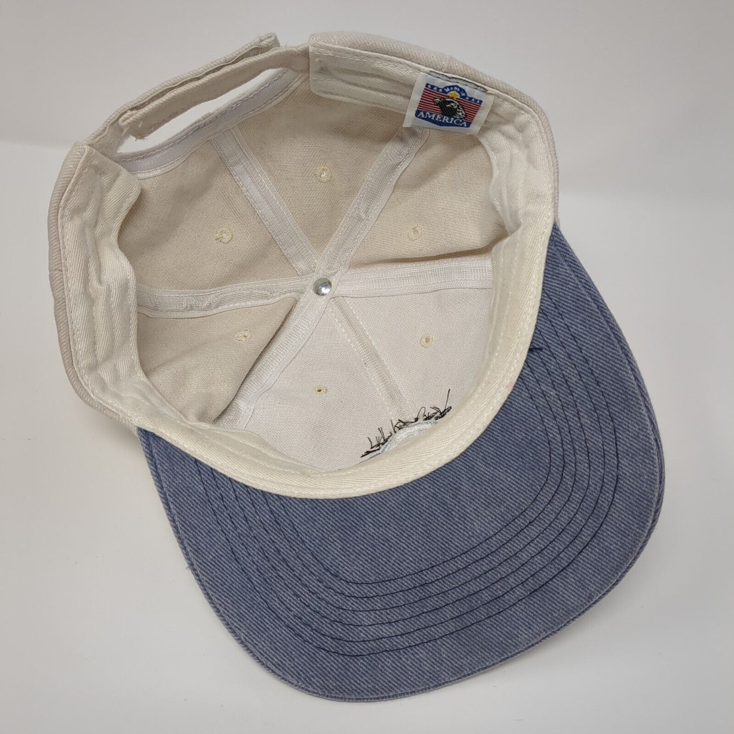 Odyssey Group Strapback Hat Multicolor OSFA Adjustable Embroidered