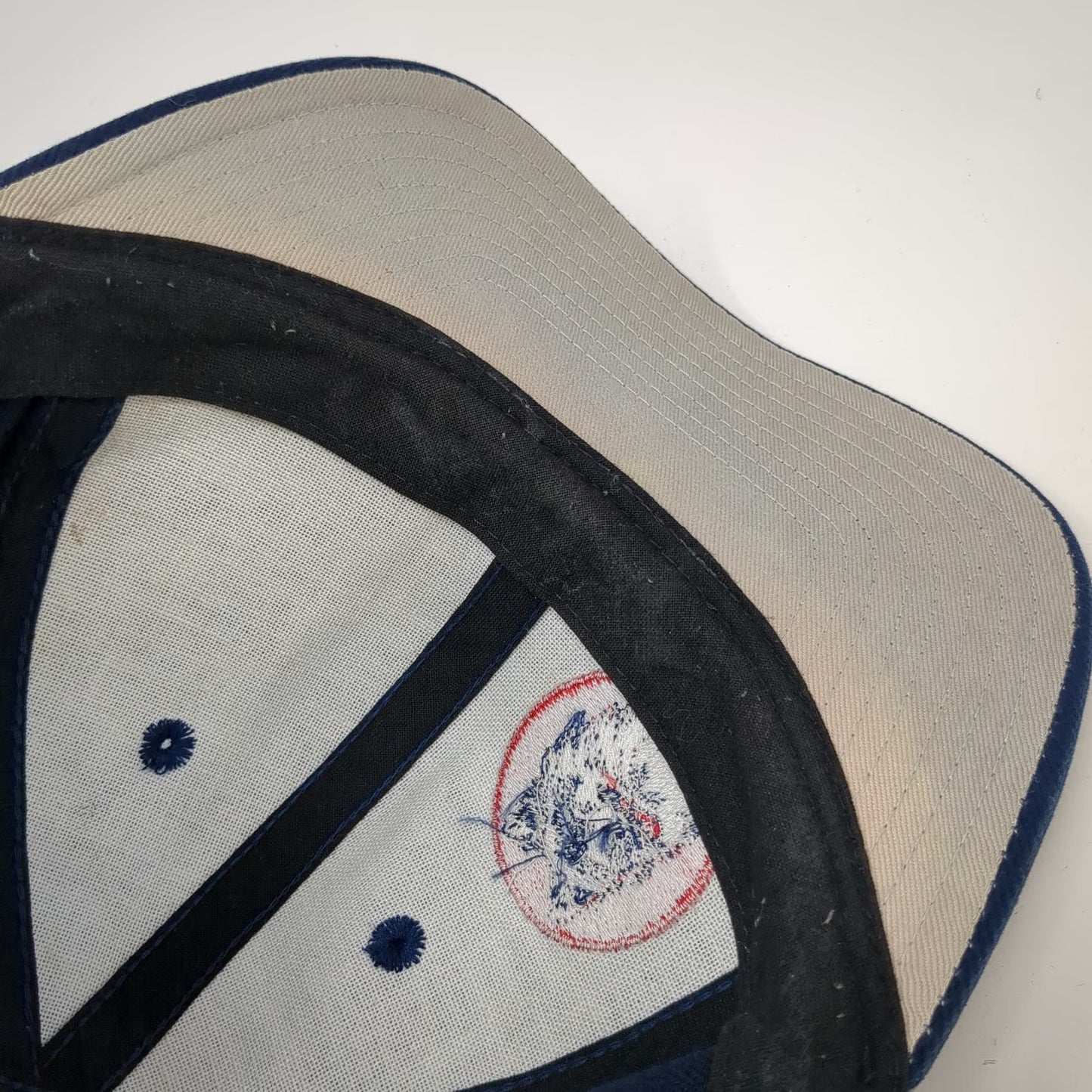 Nike Snapback Blue Embroidered Team Sports Hat Swoosh Vintage UConn Huskies