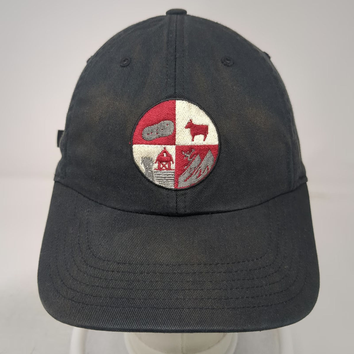 Richardson Baseball Cap Black One Size Jones Family Farm Patch Strapback Hat