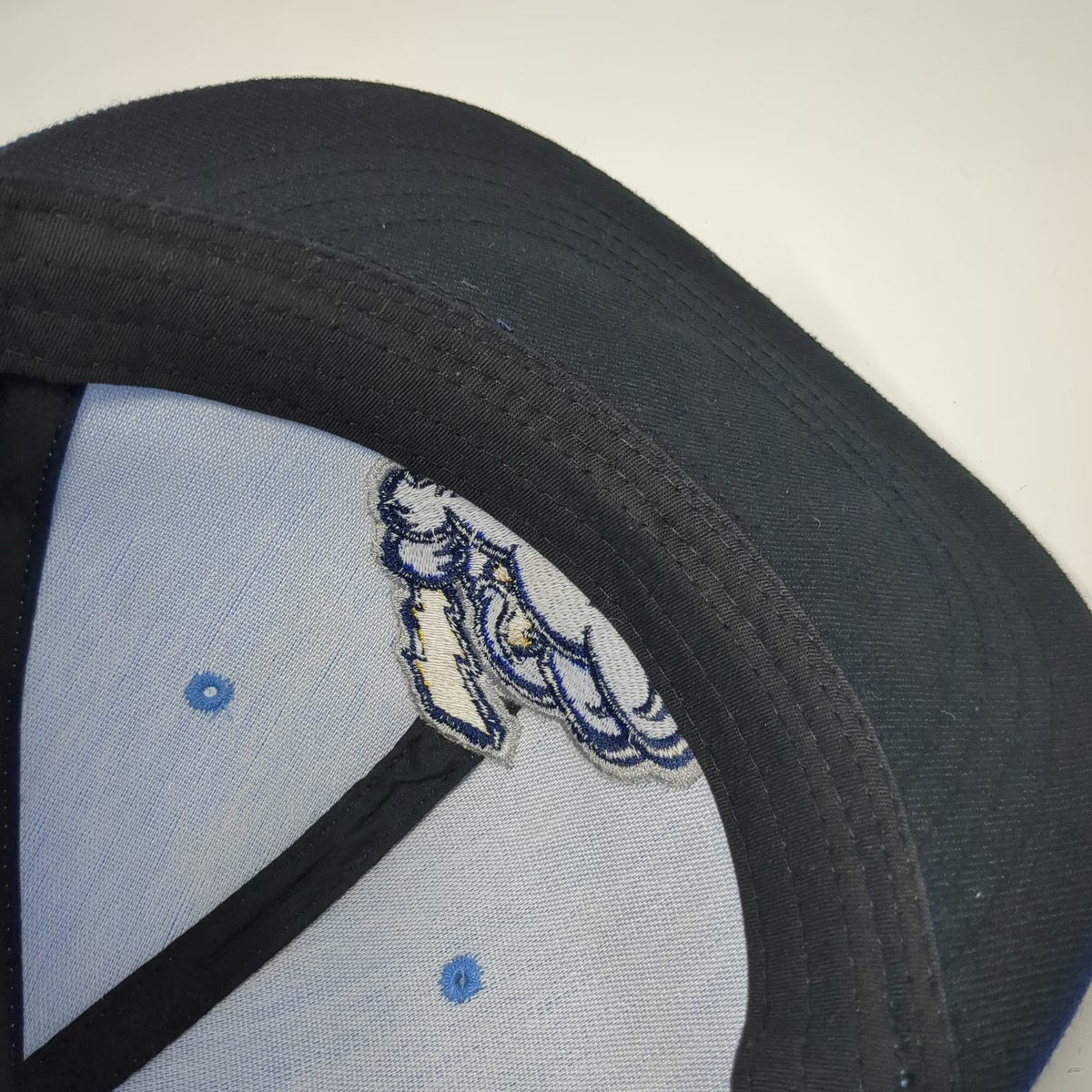 Bimm Ridder Trenton Thunder MiLB Blue One Size Cap Hat Logo Strapback Two Tone