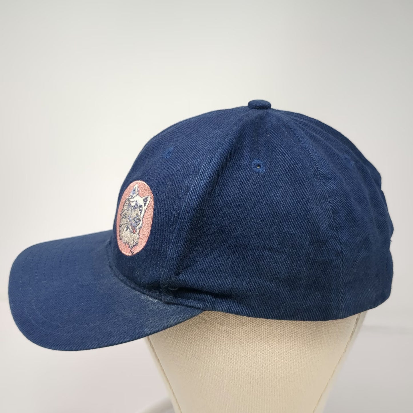 Nike Snapback Blue Embroidered Team Sports Hat Swoosh Vintage UConn Huskies