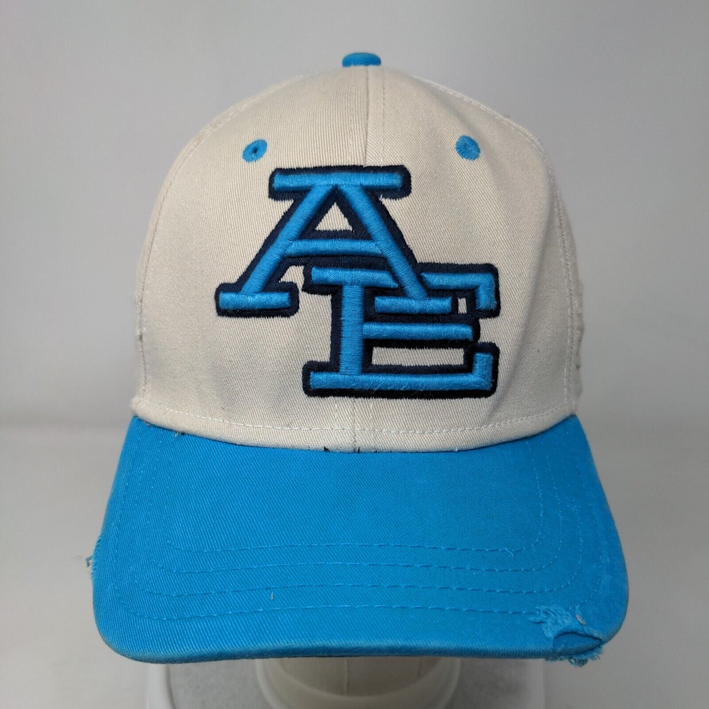 American Eagle Outfitters Fitted Hat Multicolor L/XL Embroidered 6 Panel
