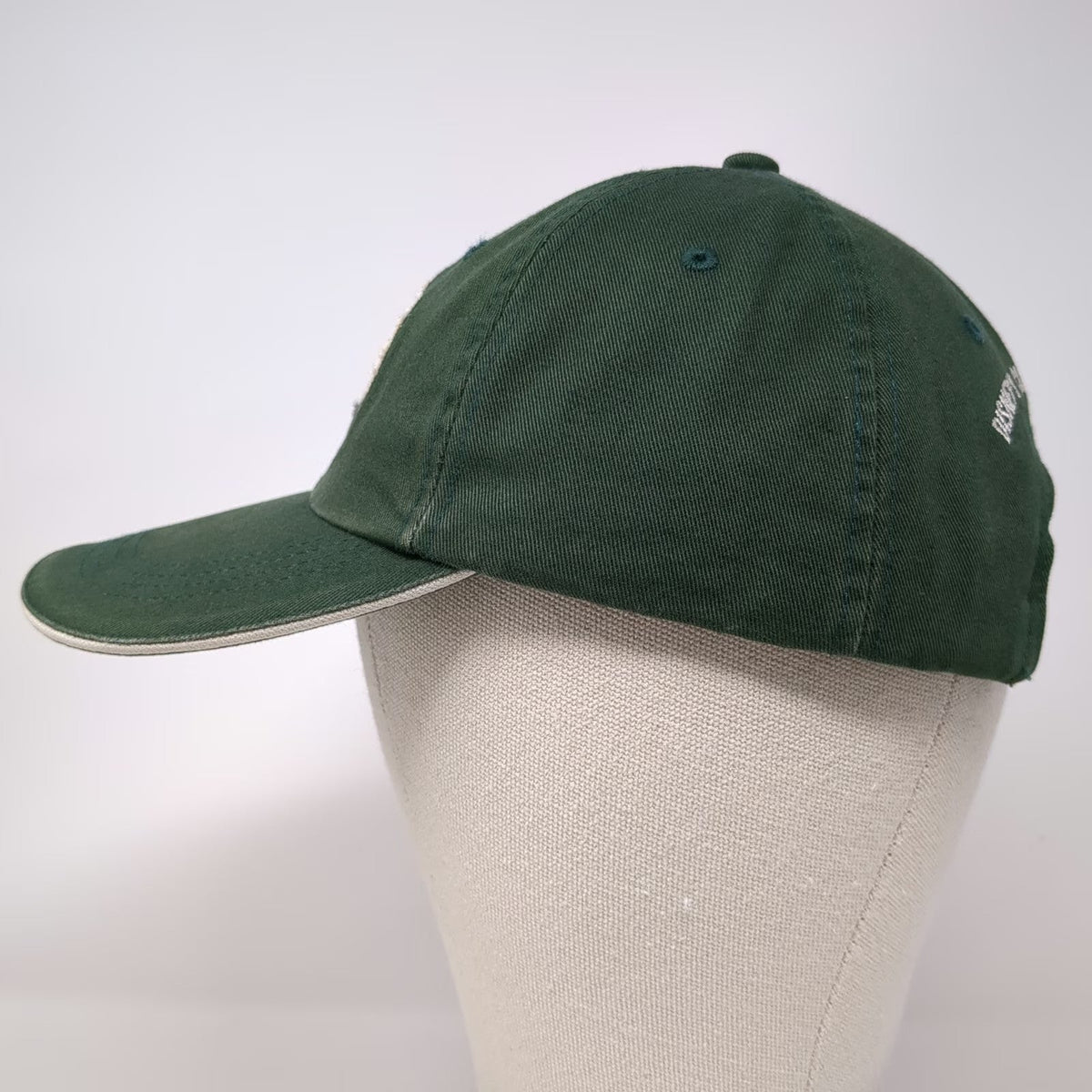 Disney Baseball Cap Green One Size Condor Flats Air Tours Leather Strap Hat