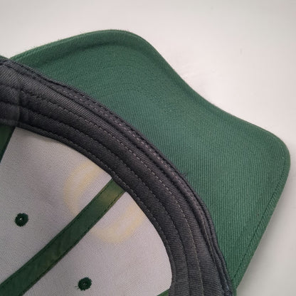 Nike Oregon Ducks NCAA Green Cap L Dri-Fit Stretch Fit Curved Brim Logo Hat