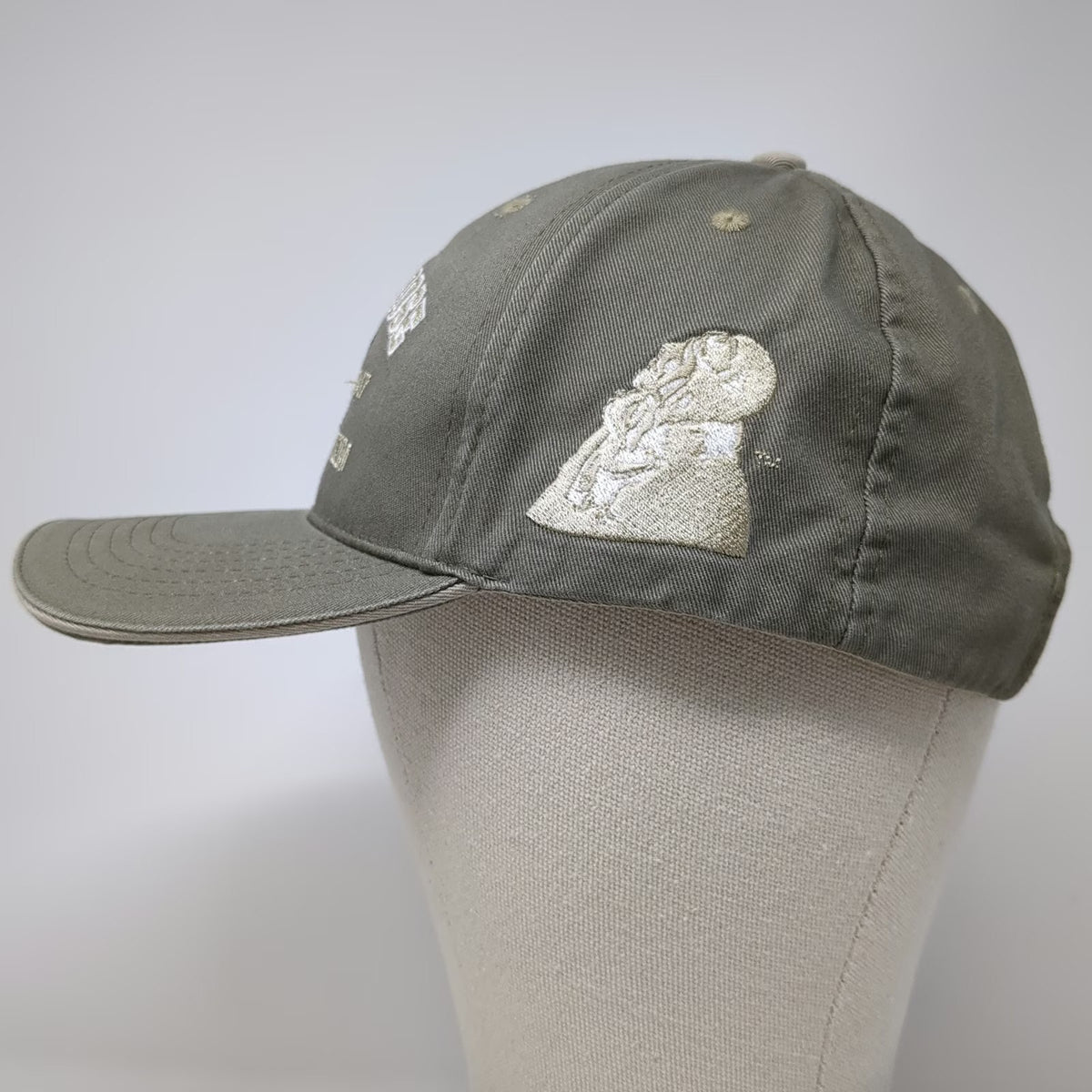 Evergreen Aviation Museum Spruce Goose Green One Size Baseball Cap Hat Plane