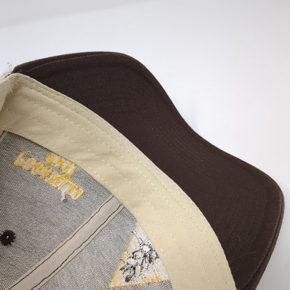 Pocatello 2017 Expansion Strapback Trucker Hat Brown One Size Mesh Back