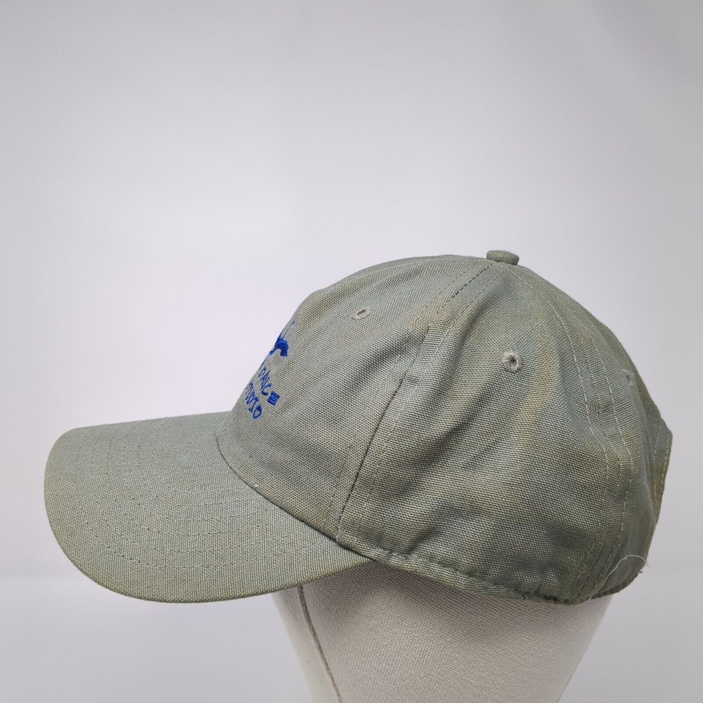 Heron Dance Art Studio Slideback Hat Gray Large Adjustable Patagonia