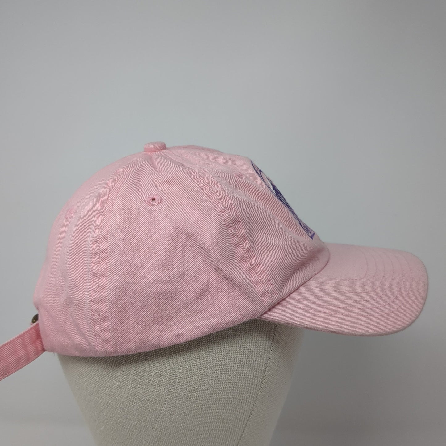 Durango and Silverton Narrow Gauge Railroad & Museum Baseball Cap Pink One Size