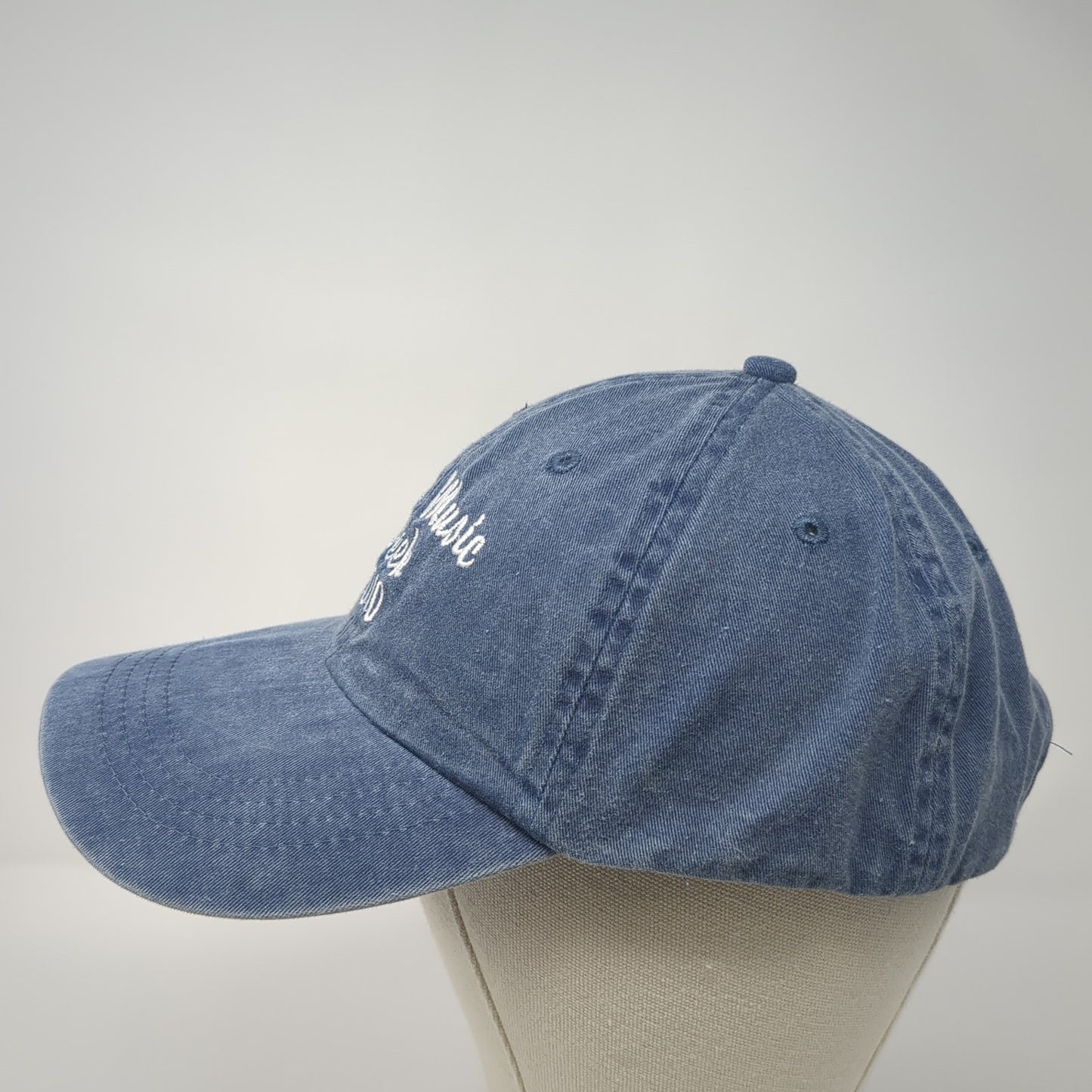 Boise Music Week 2010 Baseball Cap Blue OS Adjustable Embroidered Port & Company