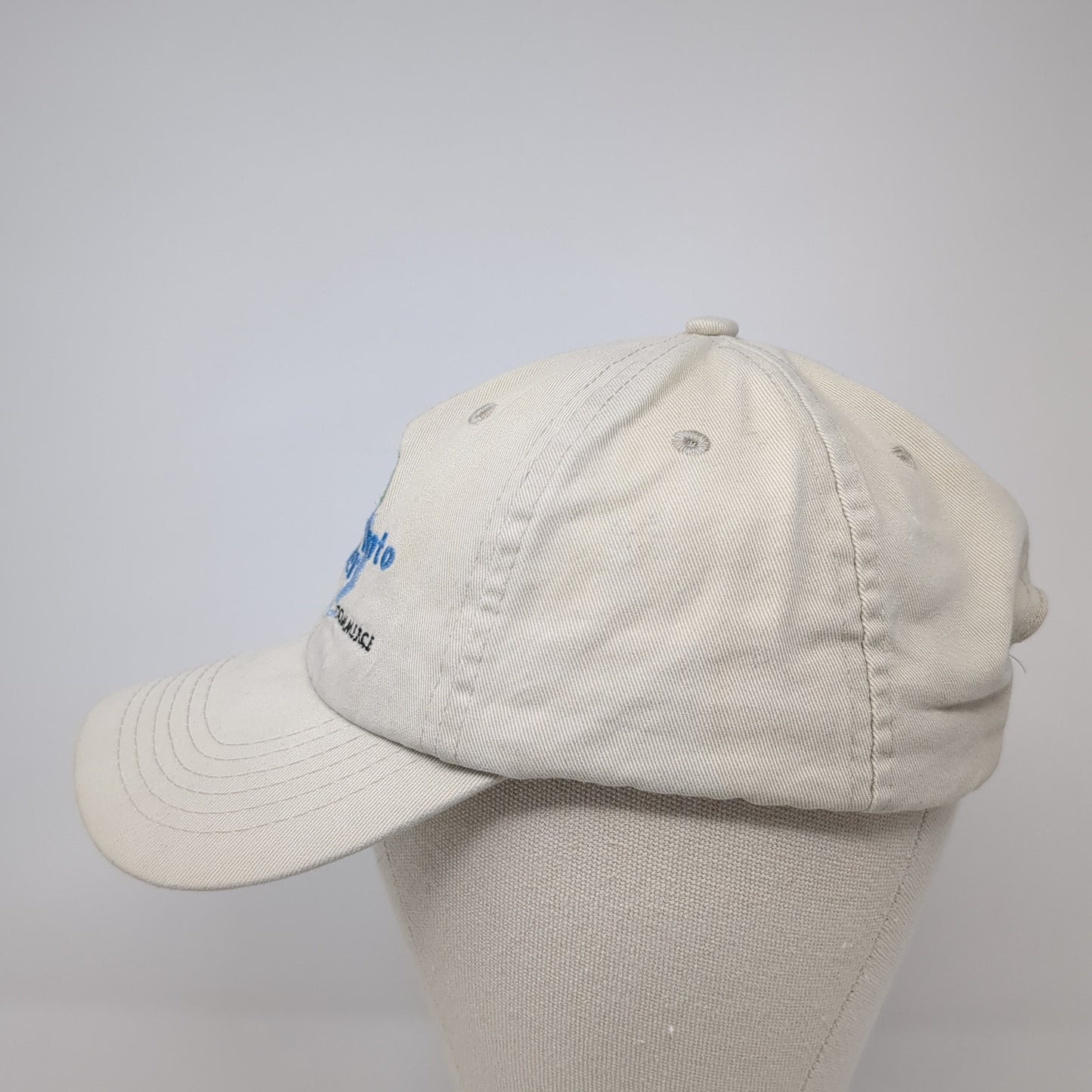 Swing Into Summer West Chicago Chamber Of Commerce Baseball Cap Beige OS AMC