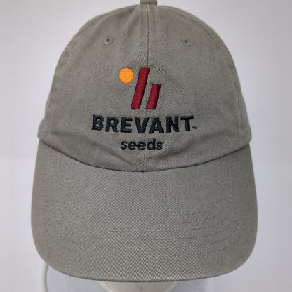 Brevant Seeds Slideback Hat Brown OS Adjustable Embroidered Quake City Caps