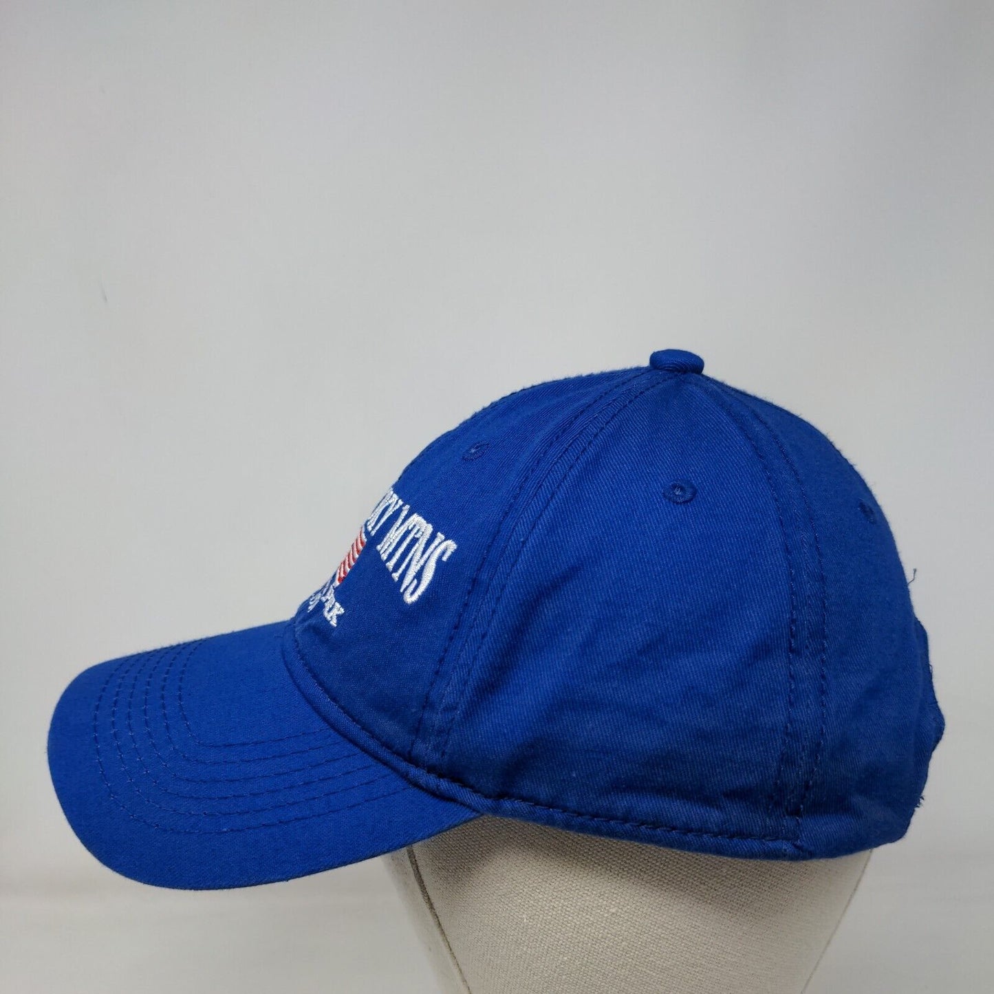 Great Smoky Mtns National Park Est. 1934 Strapback Hat Blue One Size Patriotic