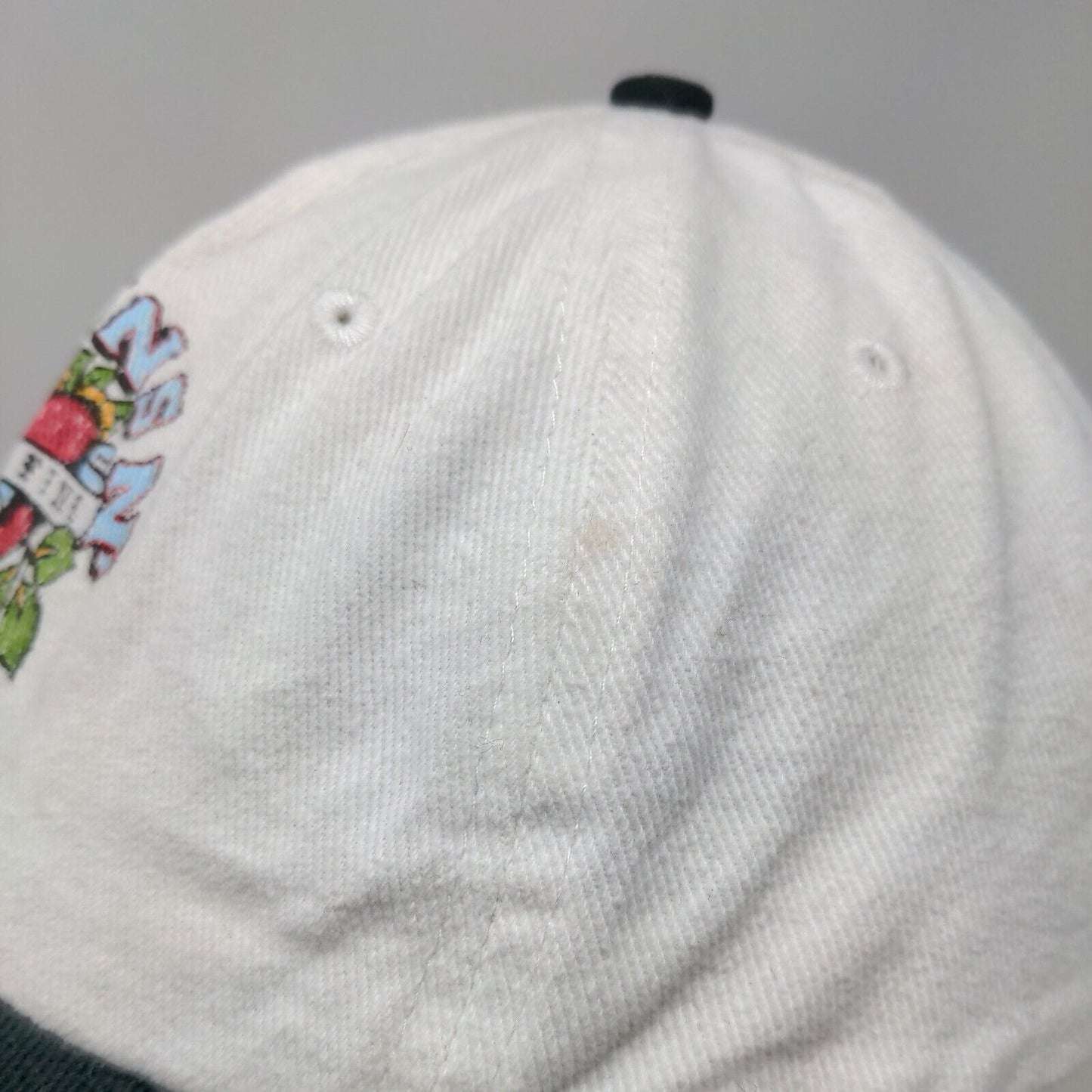 Guns N' Roses Slideback Hat Multi One Size Colorblock 6 Panel Vent Holes