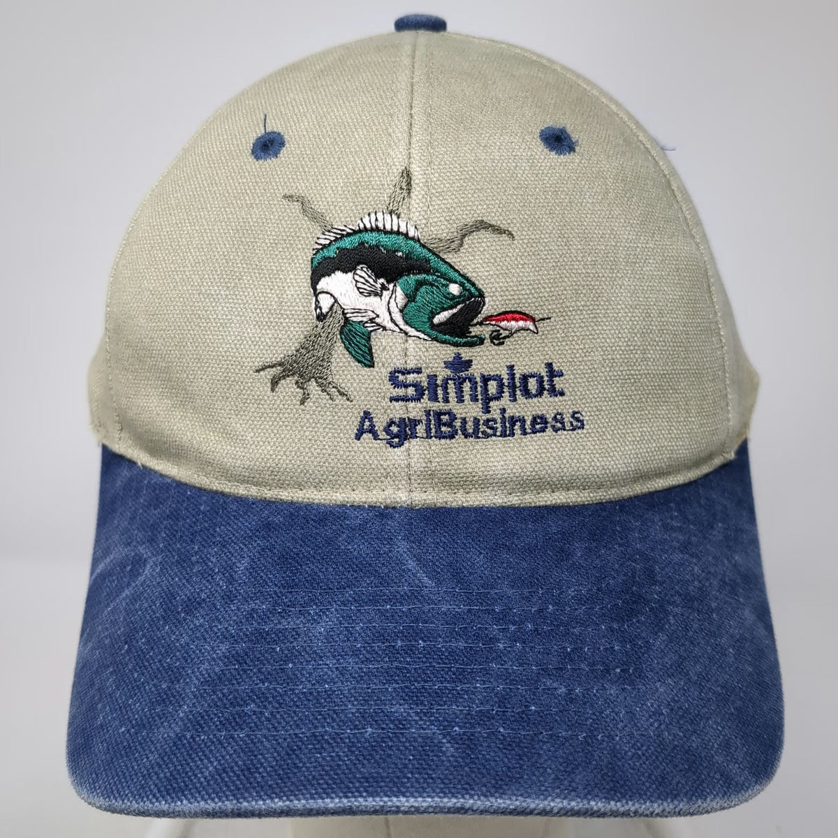 Nissin Baseball Cap Beige Blue One Size Simplot AgriBusiness Fish Smoky Hat