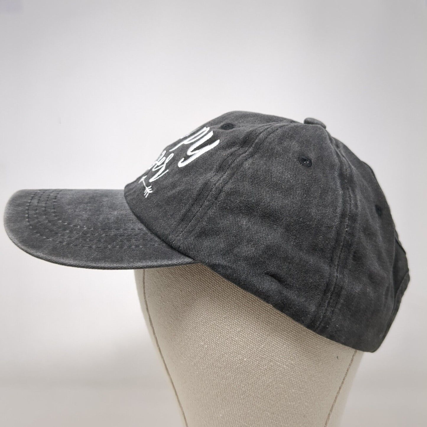 Happy Camper Slideback Hat Ponytail Gray OSFA Adjustable Waldeal
