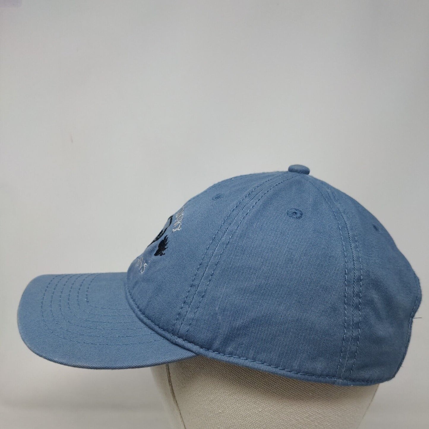 Great Smoky Mountains Strapback Hat One Size Blue Embroidered Jacobson Hat