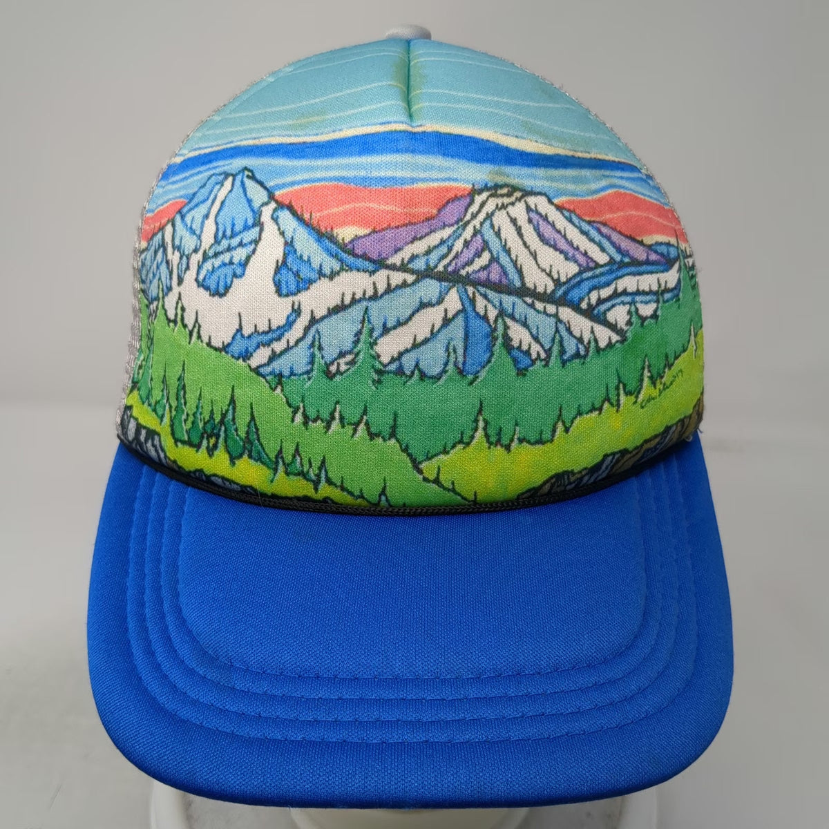 Lean Factory NW Trucker Hat Blue Gray Green One Size Mountain Graphic Snapback