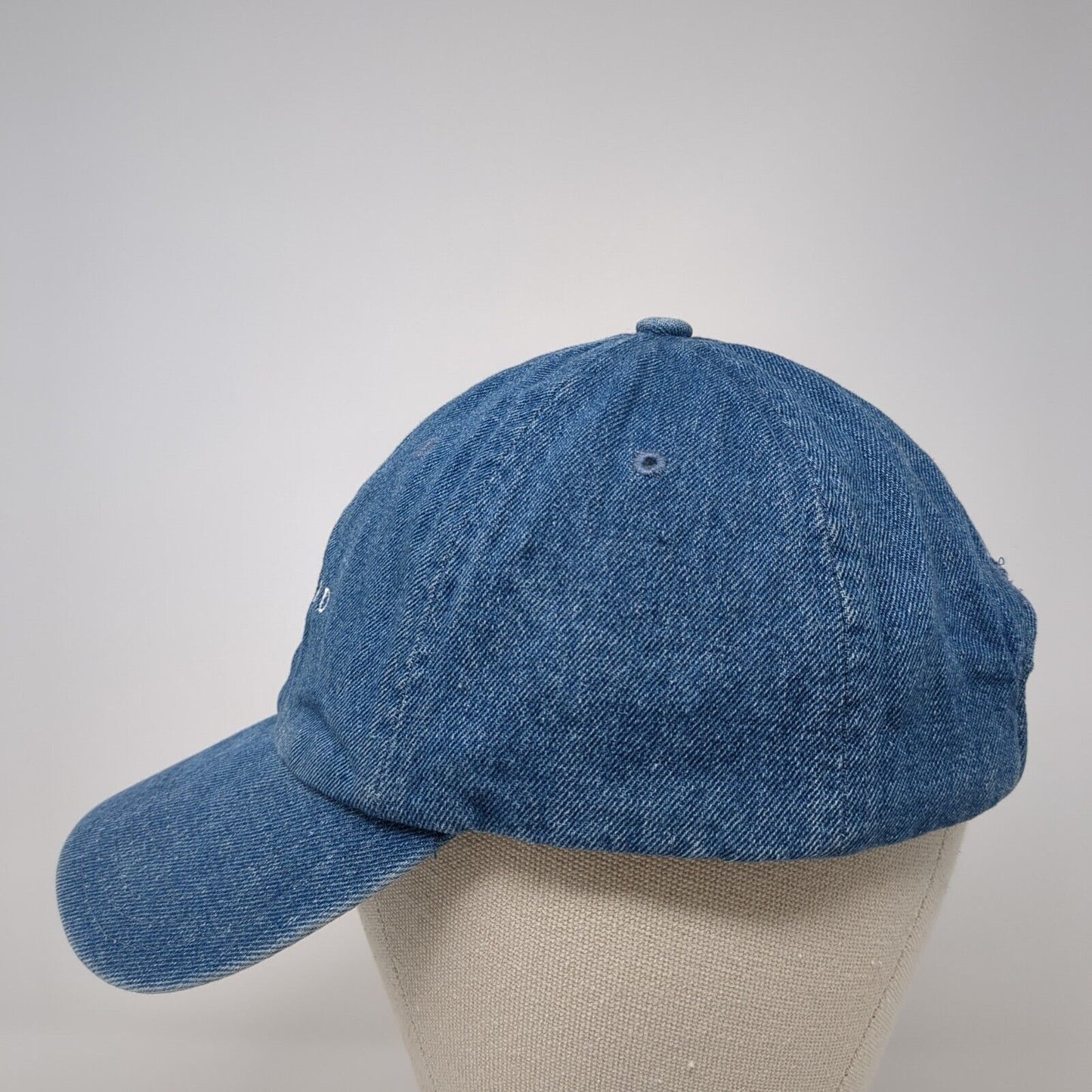 Diamond Supply Co Slideback Hat Blue One Size Adjustable Denim 6 Panel