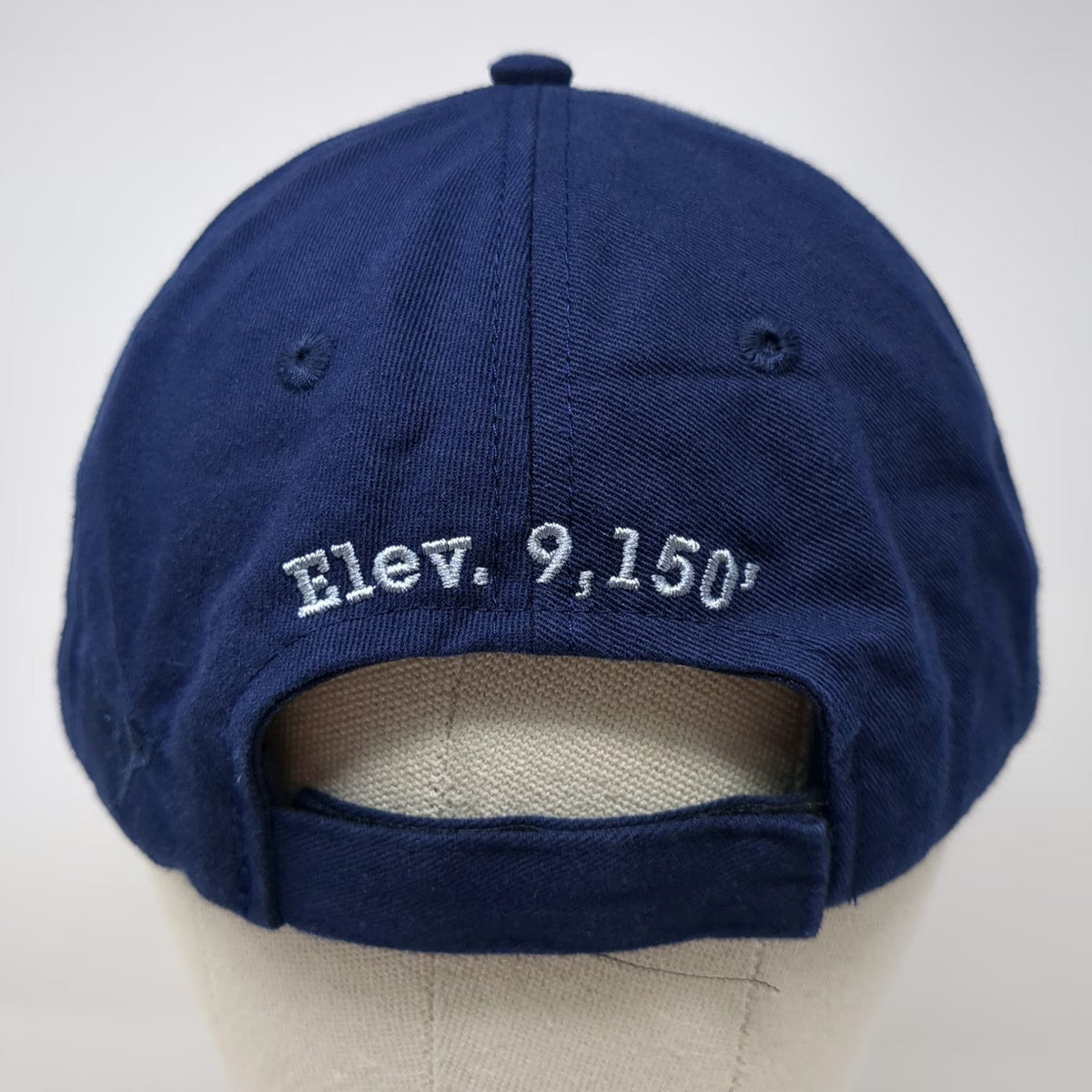 Vie Baseball Cap Blue One Size Sun Valley ID Sun Graphic Elevation 9150 Hat