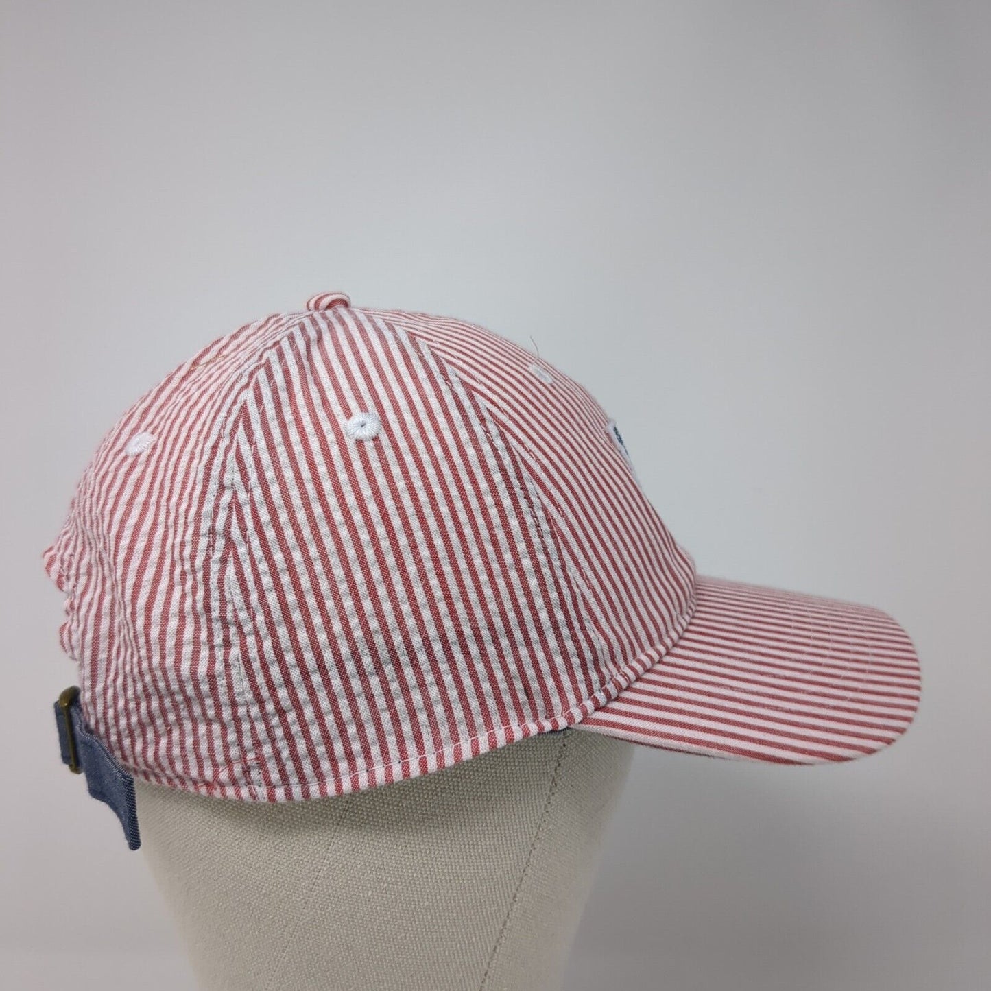 American Flag Slideback Hat Multi One Size Seersucker Striped Infinity
