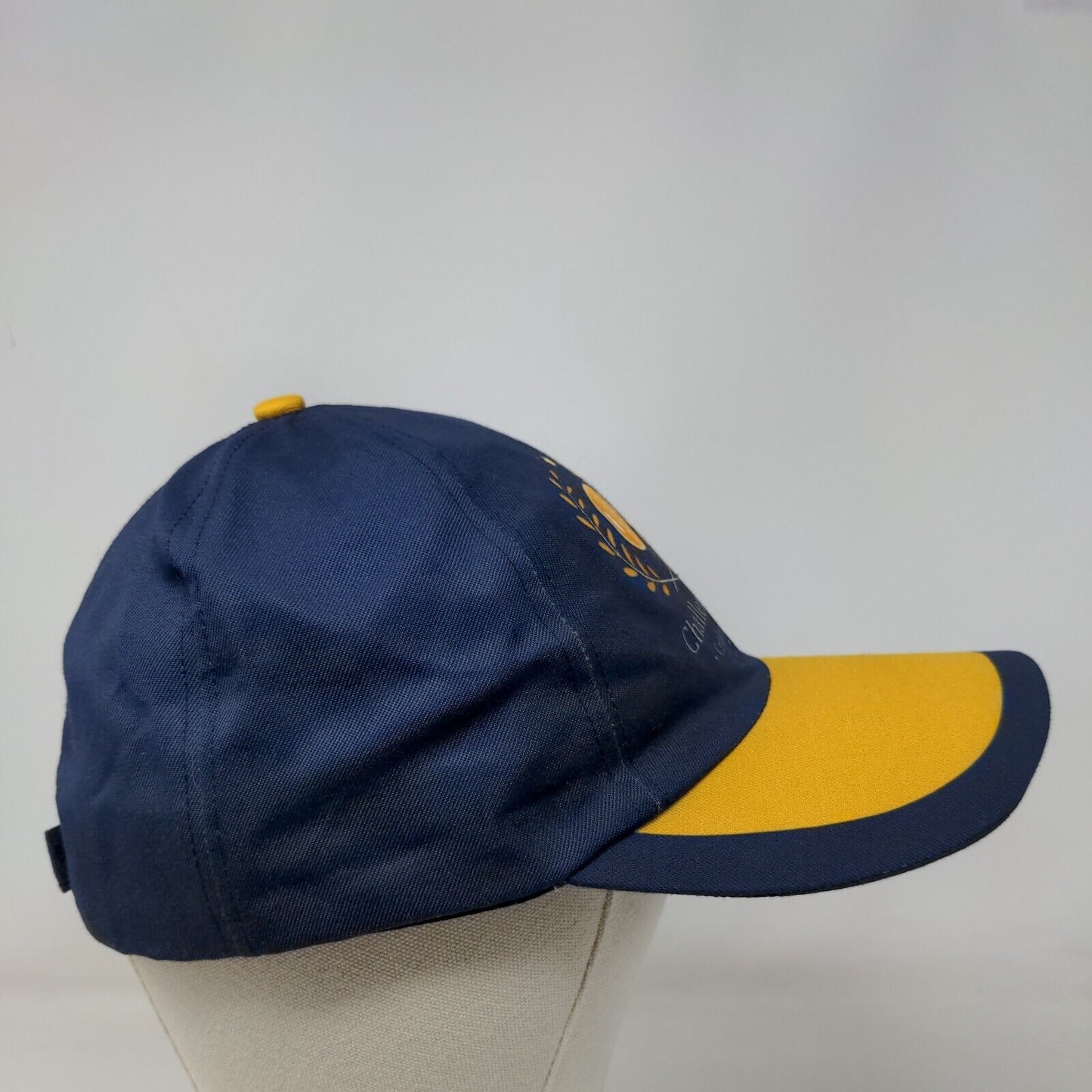 Challengers Cricket Club Curry Leaves Indian Cuisine Strapback Hat Blue OS