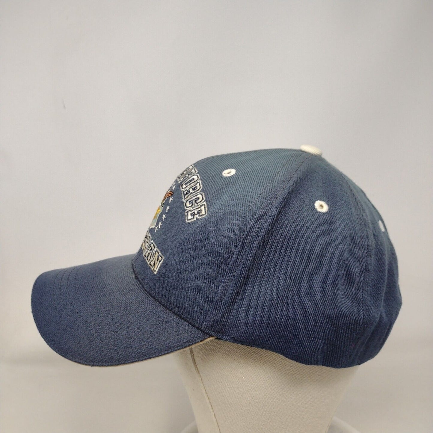 US Air Force Veteran Strapback Hat Blue One Size Rapid Dominance