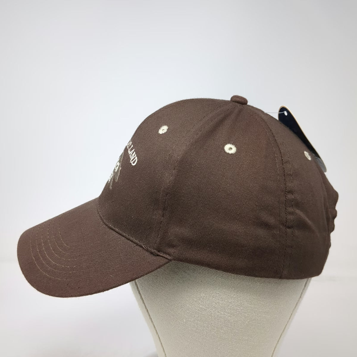 Arctic Circle Brown Baseball Cap One Size Alaska Bear Graphic Strapback Hat