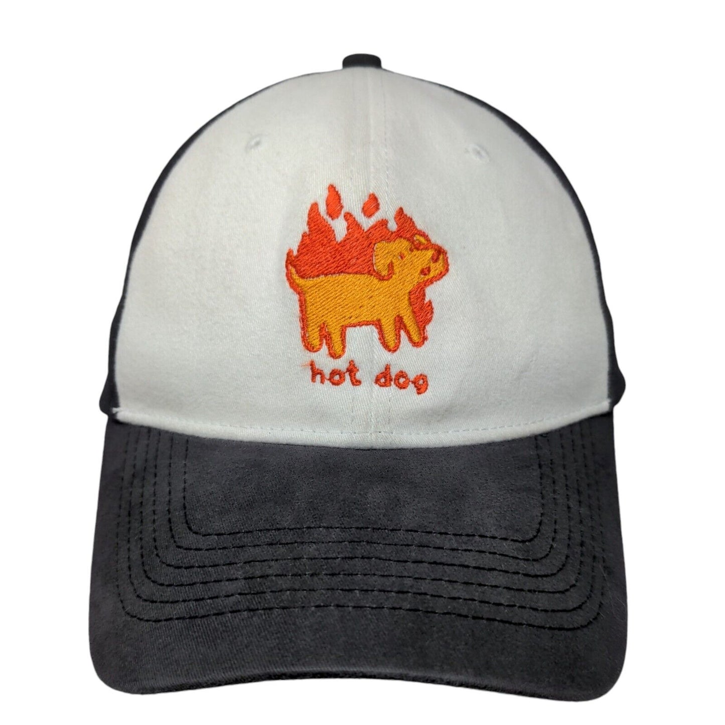 Hot Dog Fitted Hat Blue Small-Medium Embroidered Colorblock Pacific
