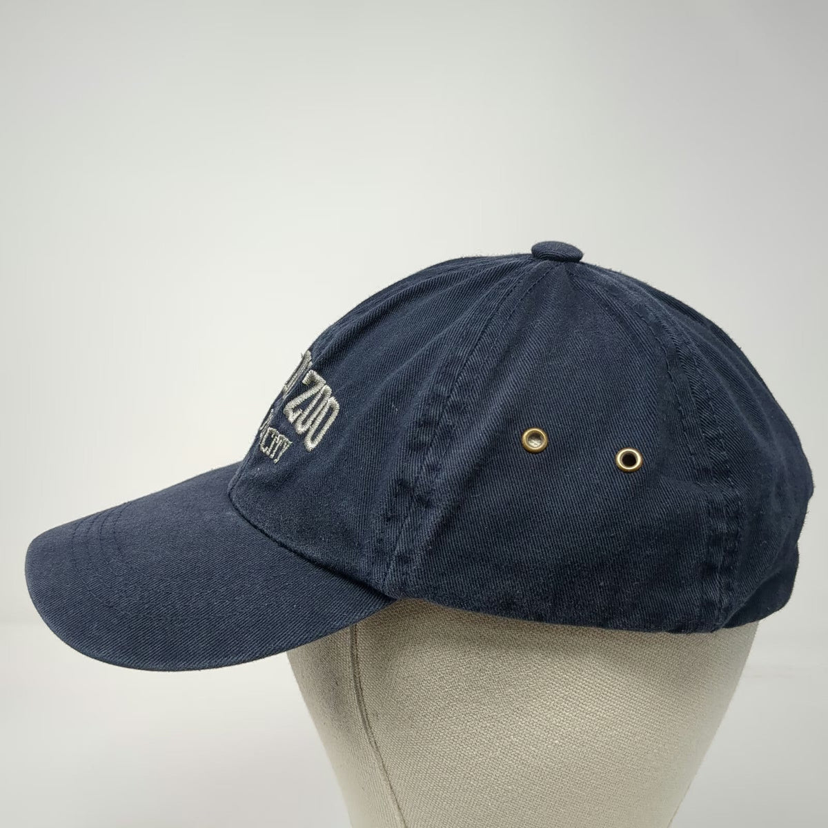 MV Sport Bronx Zoo New York City Blue Baseball Cap One Size Logo Slideback Hat