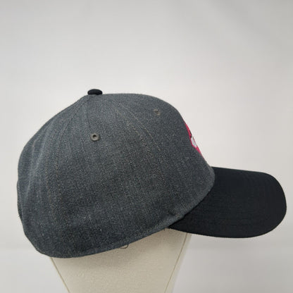 Xperi TiVo Snapback Hat Gray One Size Embroidered Colorblock Otto