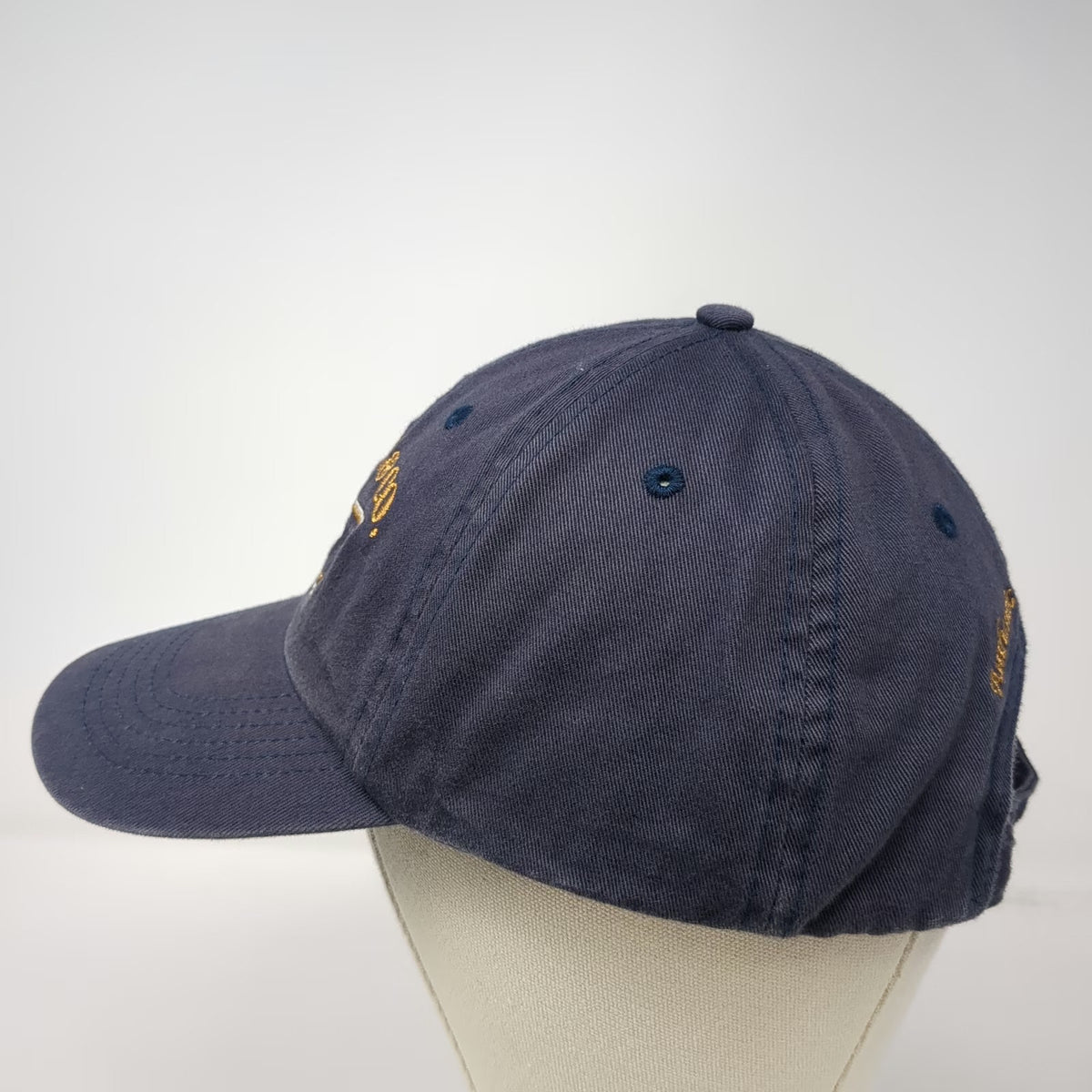 H.S. Trask & Co Baseball Cap Blue One Size Floatplane Bison Footwear Cotton Hat