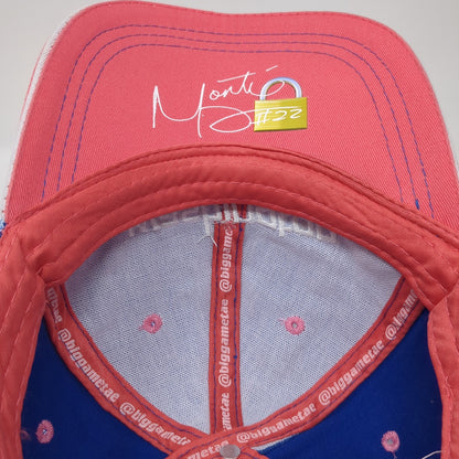 Washington Monti #22 Snapback Cap Multicolor One Size Adjustable Embroidered