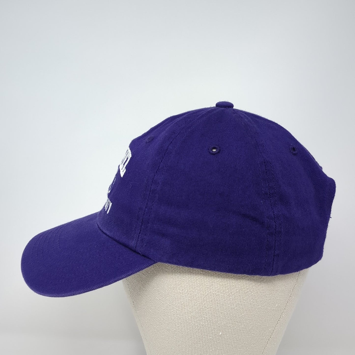 Bethel University Slideback Hat Purple One Size Adjustable Embroidered